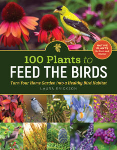 Cover for 100 Plants to Feed the Birds
